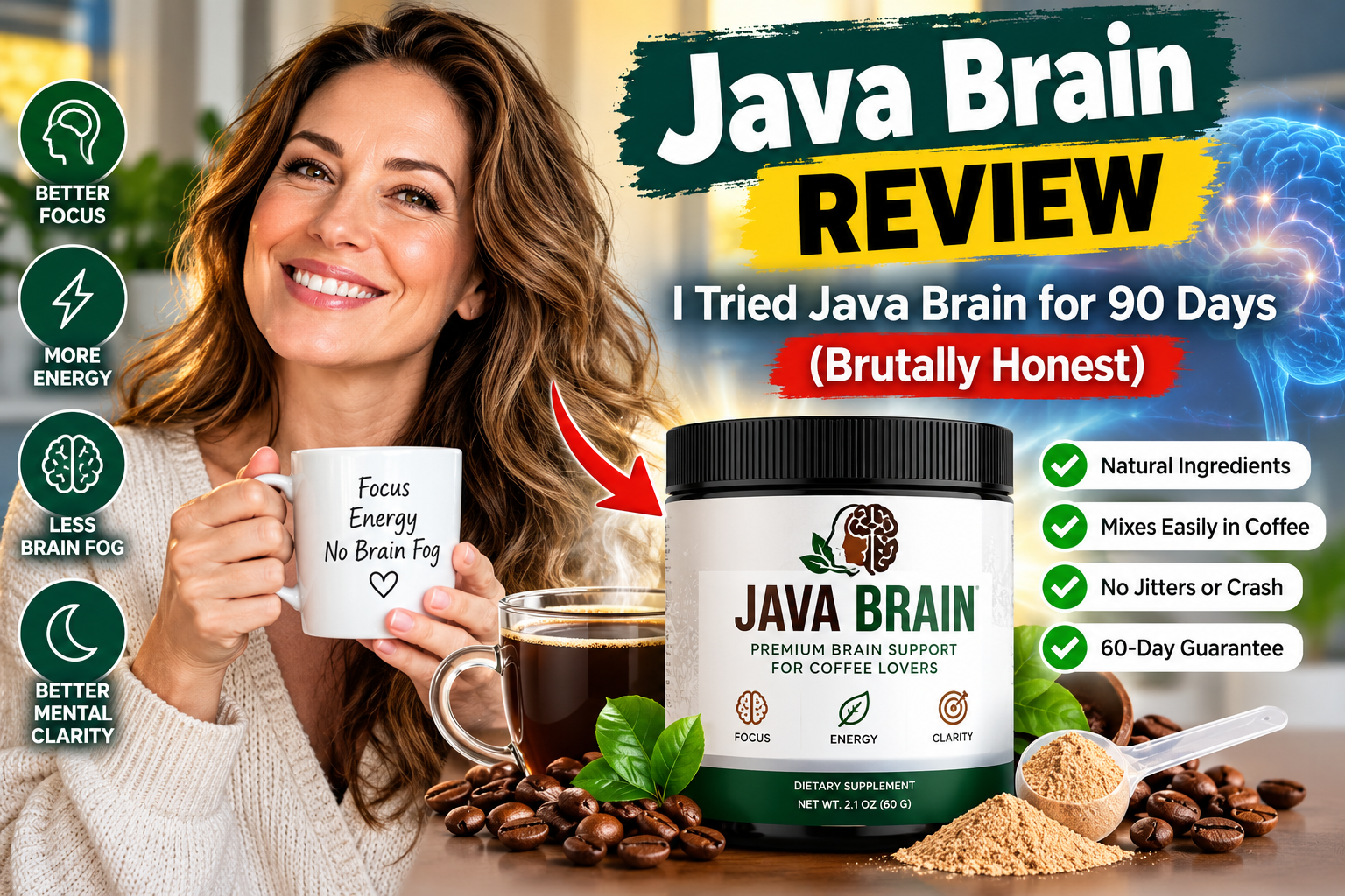Java Brain Review